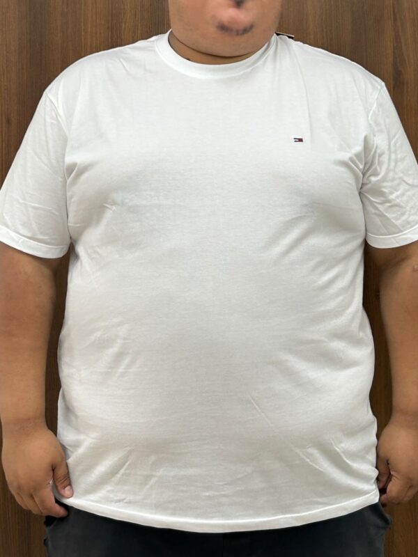 Camiseta Malha Italiana Plus Size