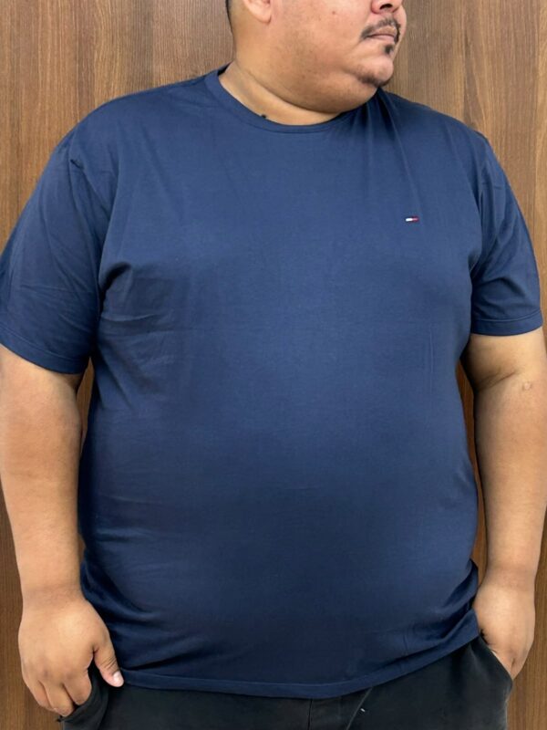 Camiseta Malha Italiana Plus Size